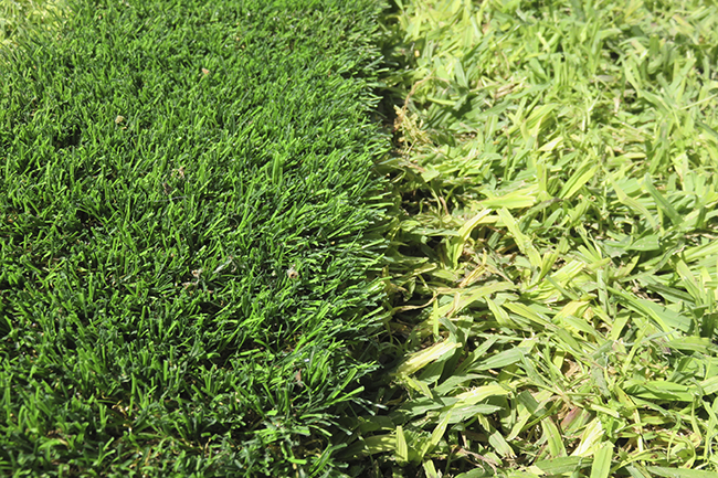 The benefits of using synthetic grass – not your grandma’s astro turf