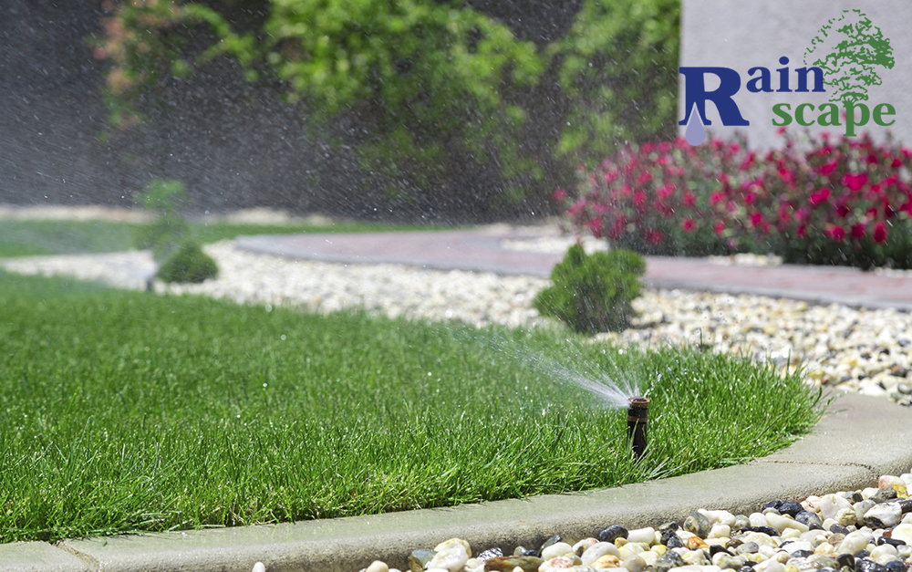 How to know what type of irrigation system is right for you