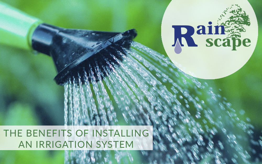Irrigation Watering System Benefits