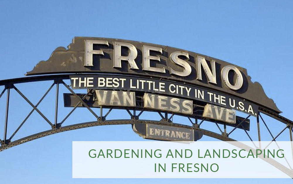 Fresno Gardening and Landscaping | Rainscape Gardening Professionals in Fresno