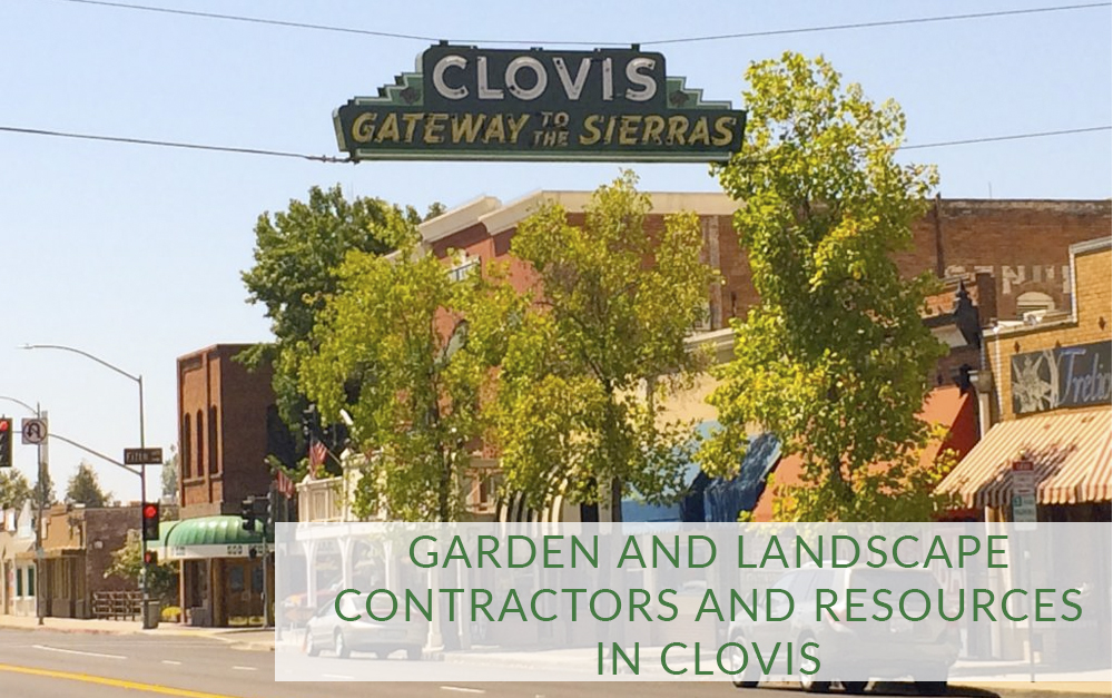 Garden and landscape contractors and resources in Clovis