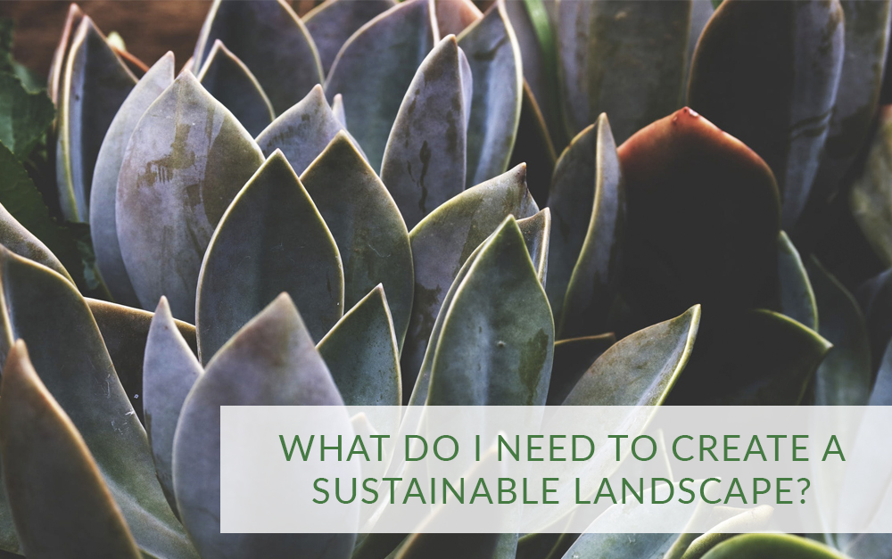 What do I need to create a sustainable landscape?