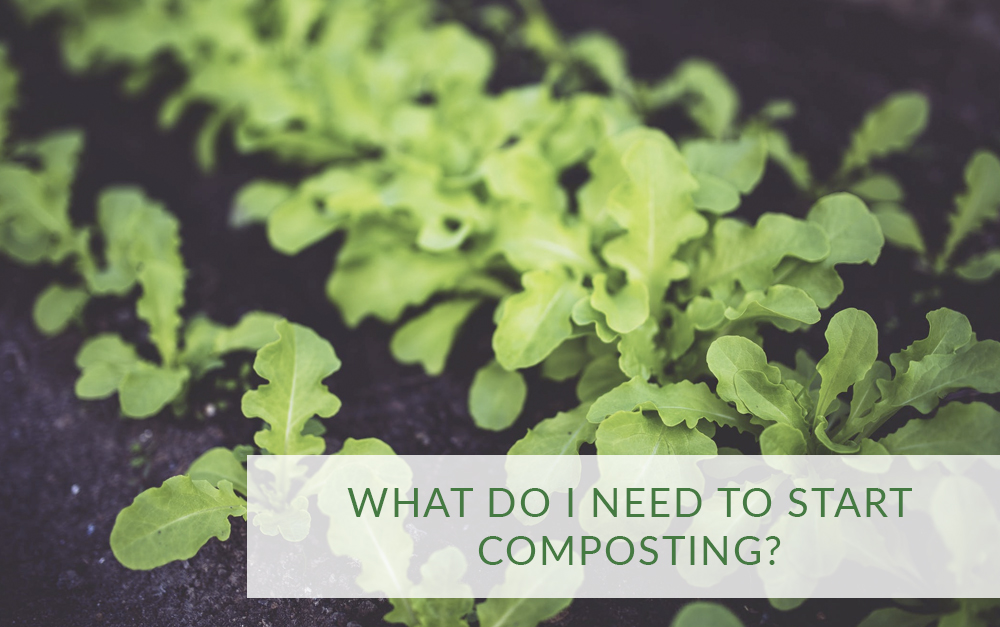 What do I need to start composting?