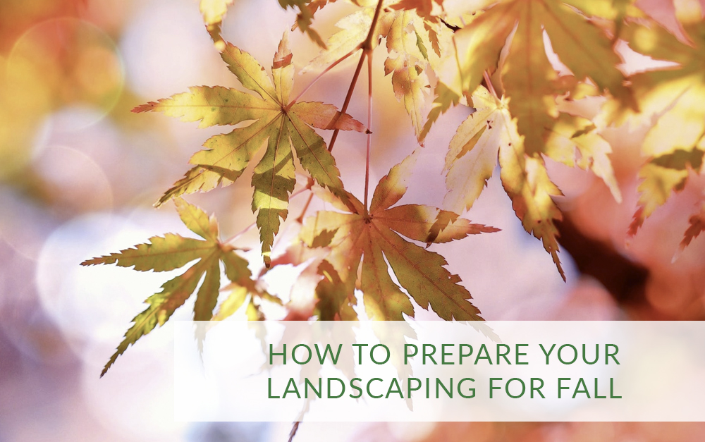 How to prepare your landscaping for Fall