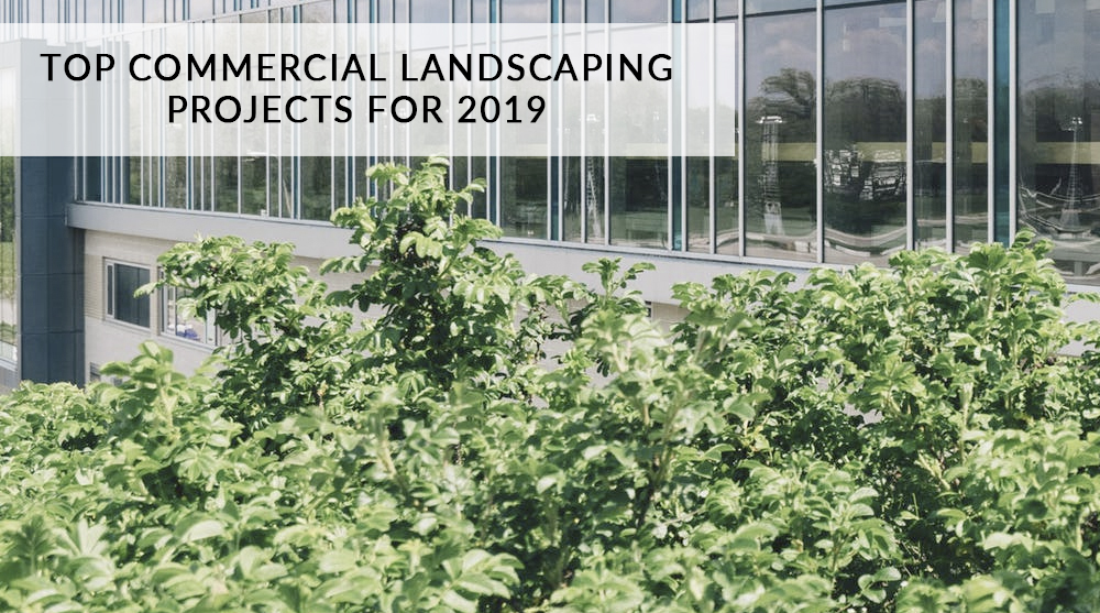 Commercial Landscapes Visalia | Commercial Landscaping Projects