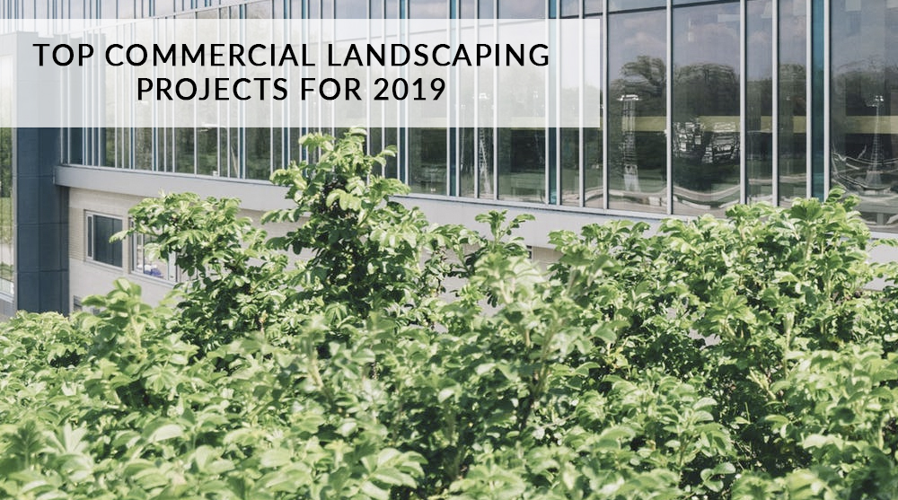 Top Commercial Landscaping Projects for 2019