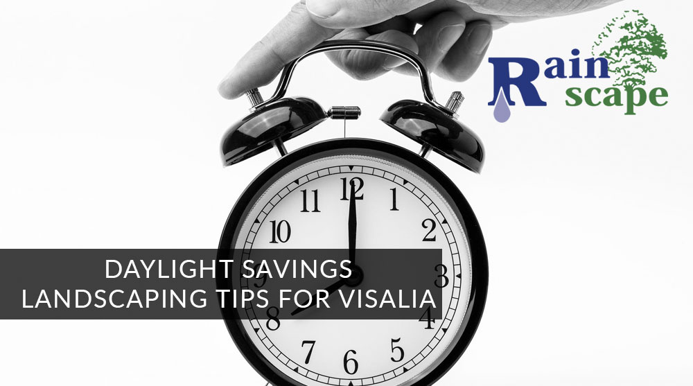 Daylight savings landscaping tips for Visalia gardens