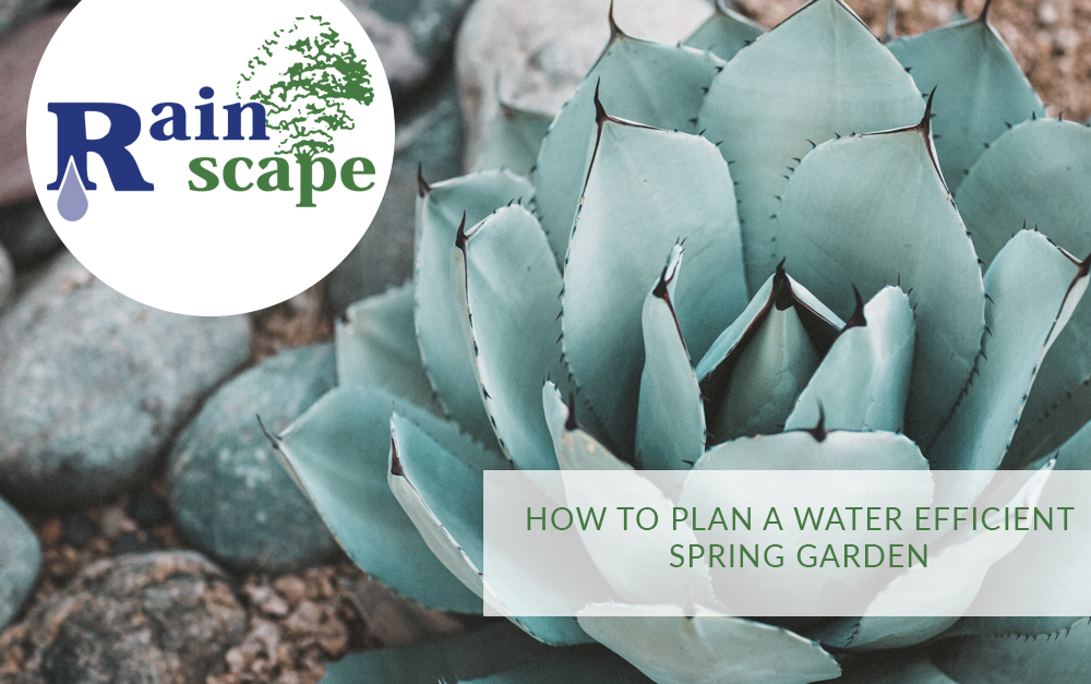 How to Plan a Water Efficient Garden