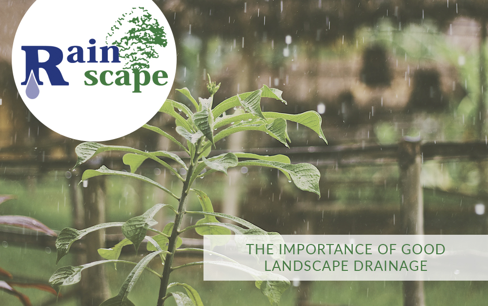 The importance of good landscape drainage
