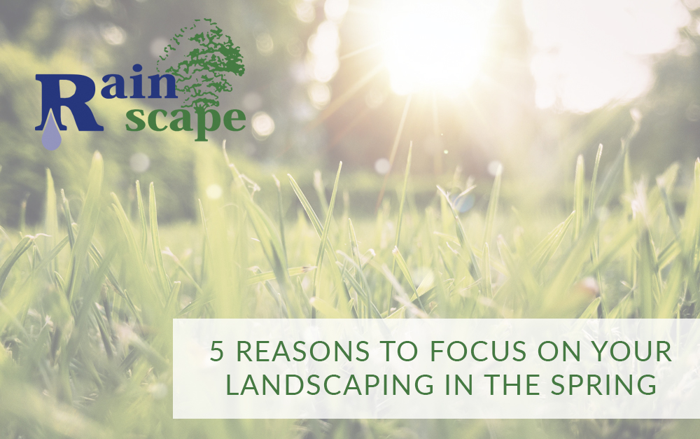 Focus on Landscaping in the Spring.