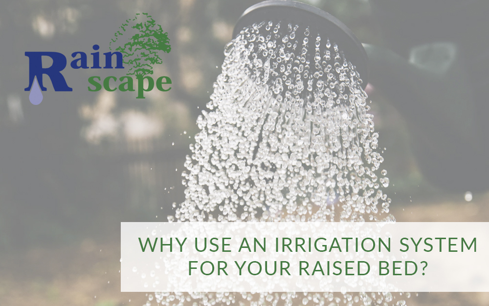 Why Use an Irrigation System for your Raised Bed?