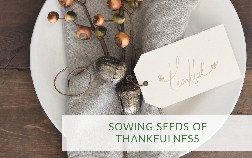 Sowing Seeds of Thankfulness