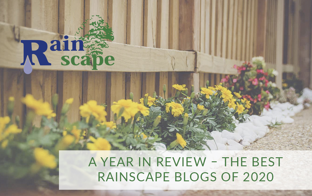 A Year in Review – The Best Rainscape Blogs of 2020