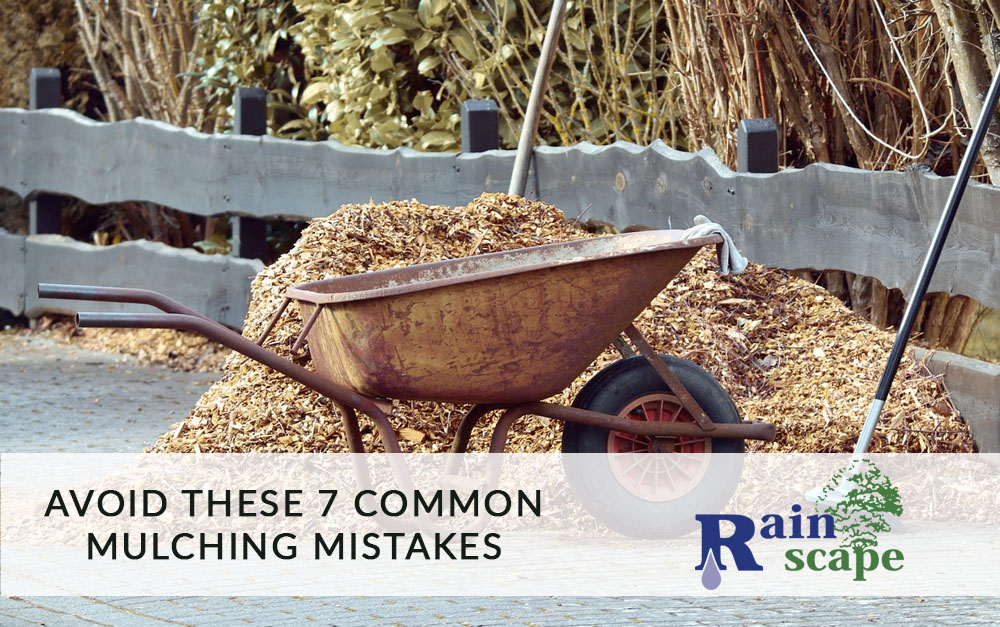 Avoid These 7 Common Mulching Mistakes