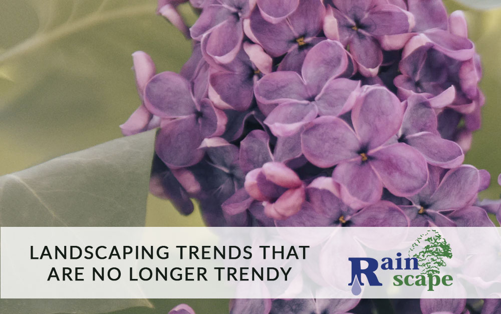 Landscaping Trends That Are No Longer Trendy