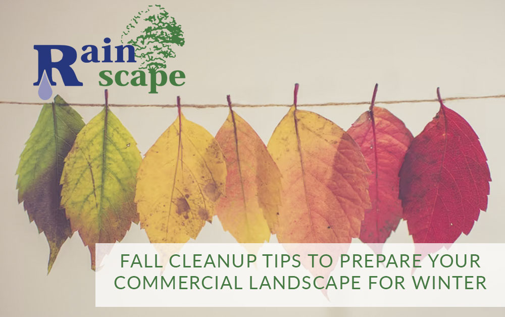 Fall Cleanup Tips to Prepare Your Commercial Landscape for Winter