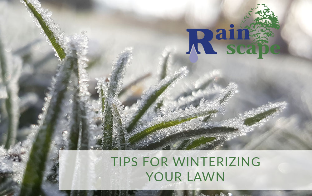 Tips for Winterizing your Lawn