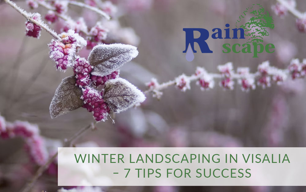 Winter Landscaping in Visalia – 7 Tips for Success