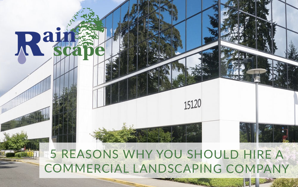 5 Reasons Why you Should Hire a Commercial Landscaping Company | Rainscape Landscaping Visalia