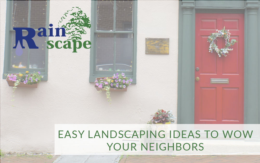 Easy Landscaping Ideas to Wow Your Neighbors | Rainscape Landscaping