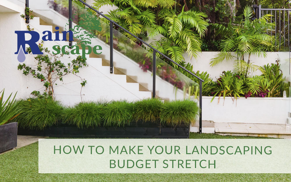Stretch Your Landscaping Budget