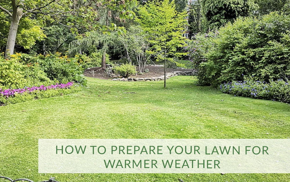 Prepare your Lawn for Warmer Weather