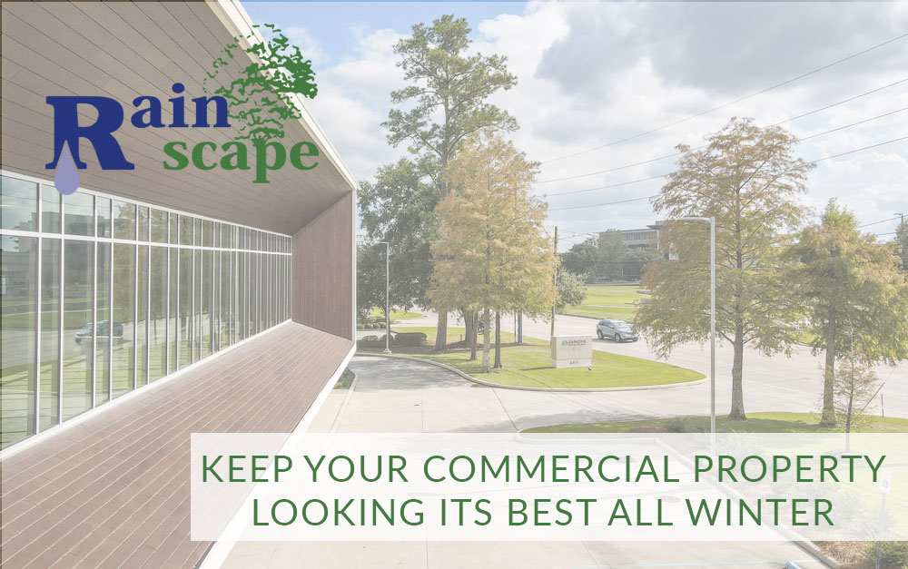 Keep your Commercial Property Looking its Best all Winter