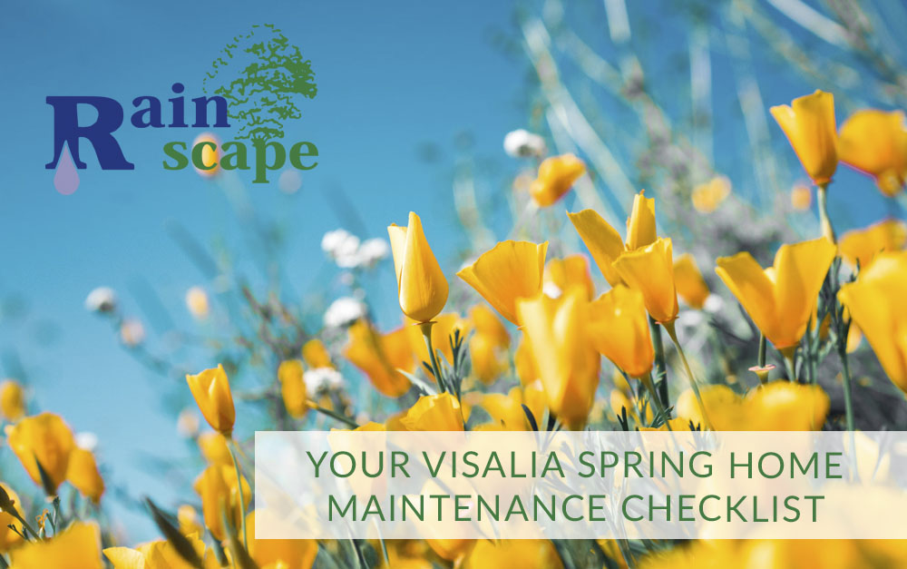 Spring Home Maintenance Checklist | Rainscape Landscaping Visalia