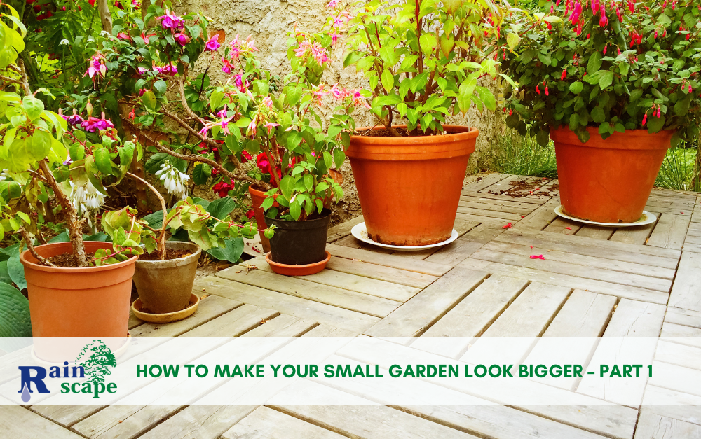 How to Make your Small Garden Look Bigger – Part 1