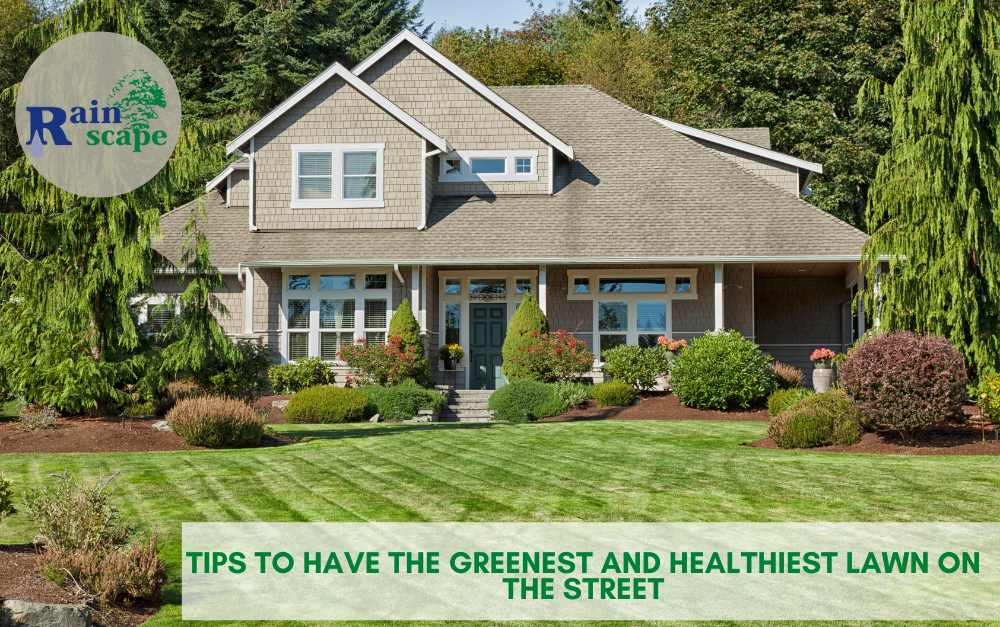Tips to Have the Greenest and Healthiest Lawn on the Street