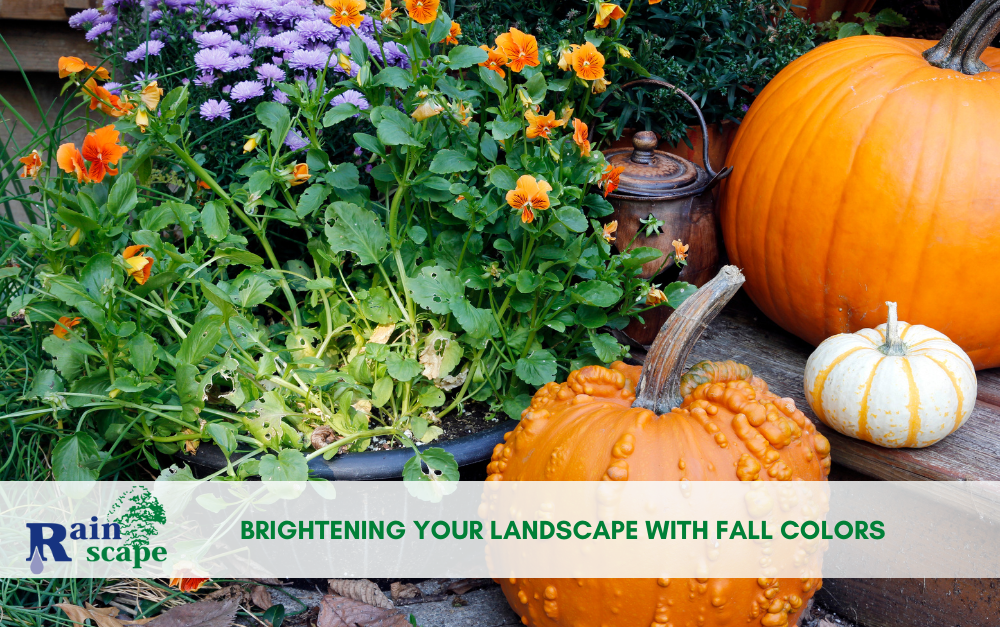 Fall landscape ideas - pumpkins