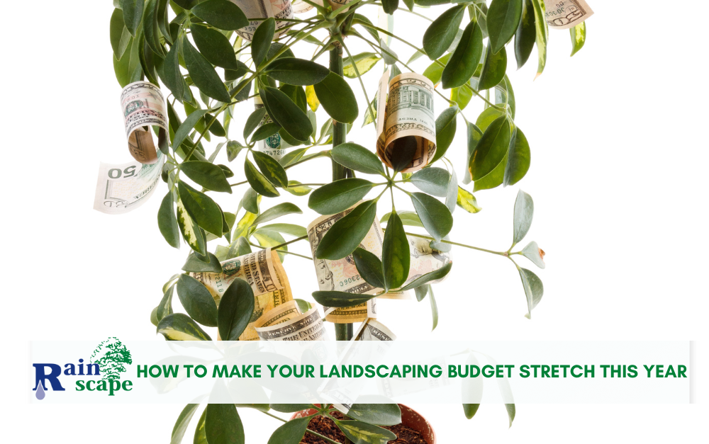 How to Make Your Landscaping Budget Stretch This Year