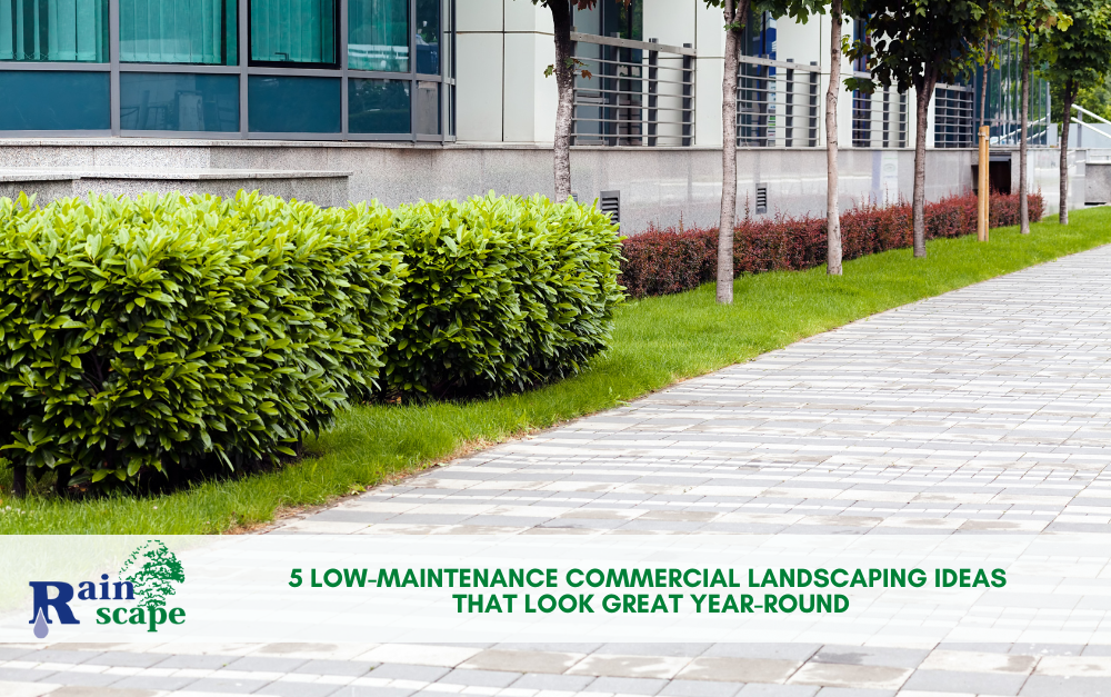 5 Low-Maintenance Commercial Landscaping Ideas That Look Great Year-Round