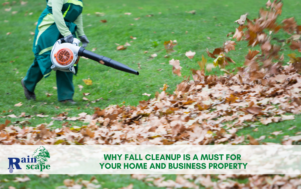 Why Fall Cleanup Is a Must for Your Home and Business Property