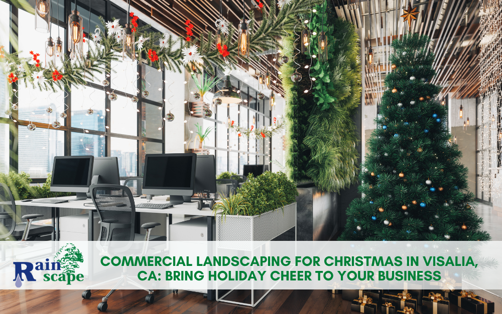 Commercial Landscaping for Christmas in Visalia, CA: Bring Holiday Cheer to Your Business