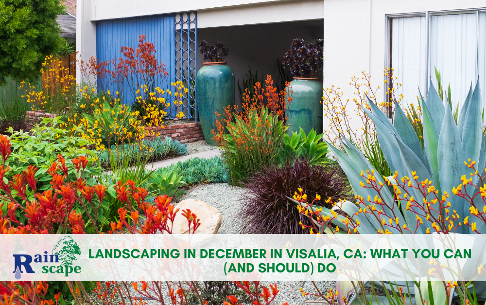 Landscaping in December in Visalia, CA: What You Can (and Should) Do