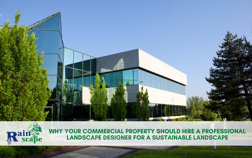 Why Your Commercial Property Should Hire a Professional Landscape Designer for a Sustainable Landscape