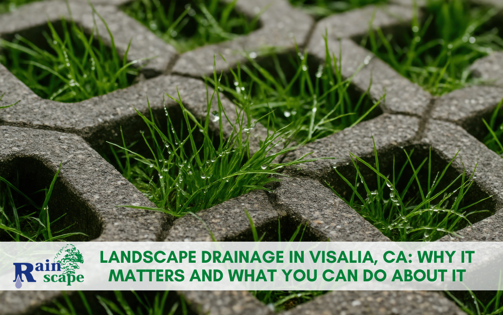 Landscape Drainage in Visalia, CA: Why It Matters and What You Can Do About It