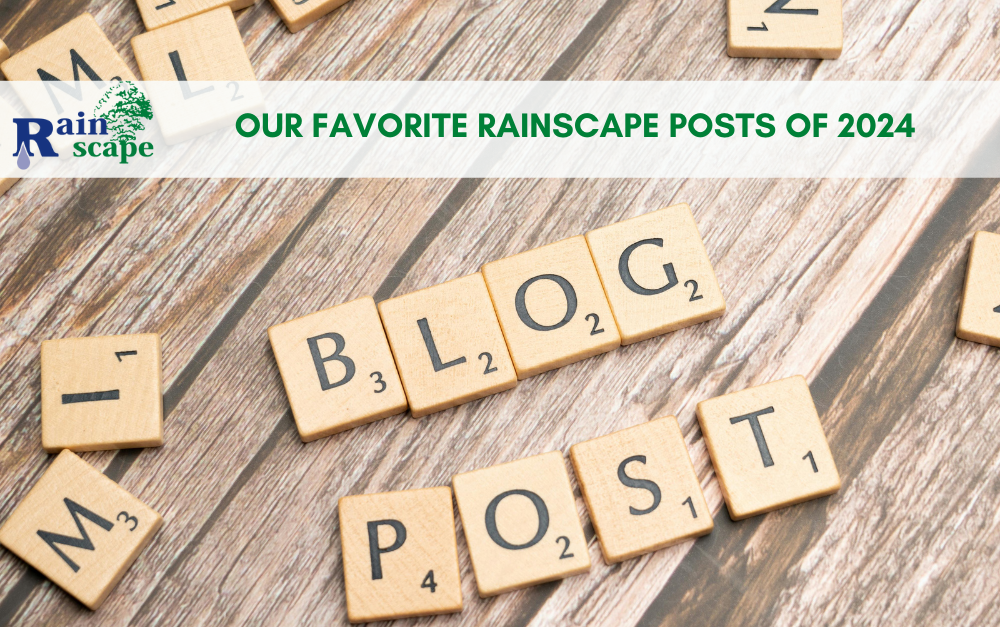 Our Favorite Rainscape Posts of 2024