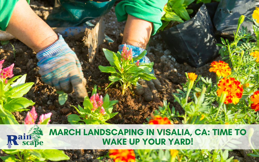 March Landscaping in Visalia, CA: Time to Wake Up Your Yard!