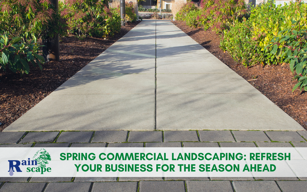 Spring Commercial Landscaping: Refresh Your Business for the Season Ahead